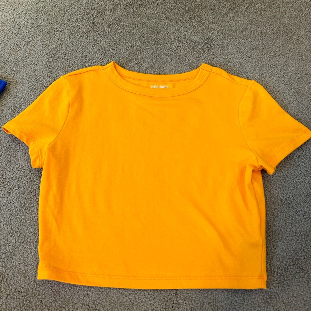 Wild Fable Cropped Tee